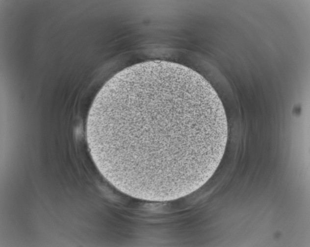 X0000116760089201001281621