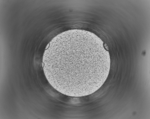 X0000116760091201001281621