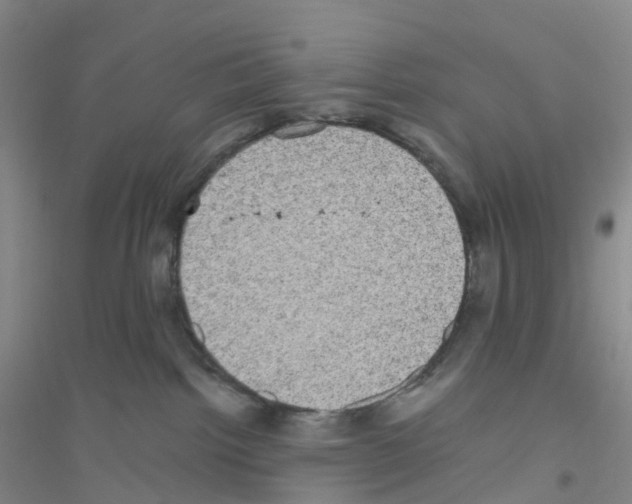 X0000116760092201001281621