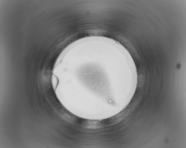 X0000116760093201001281621