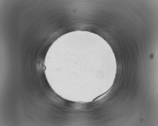 X0000116760094201001281621