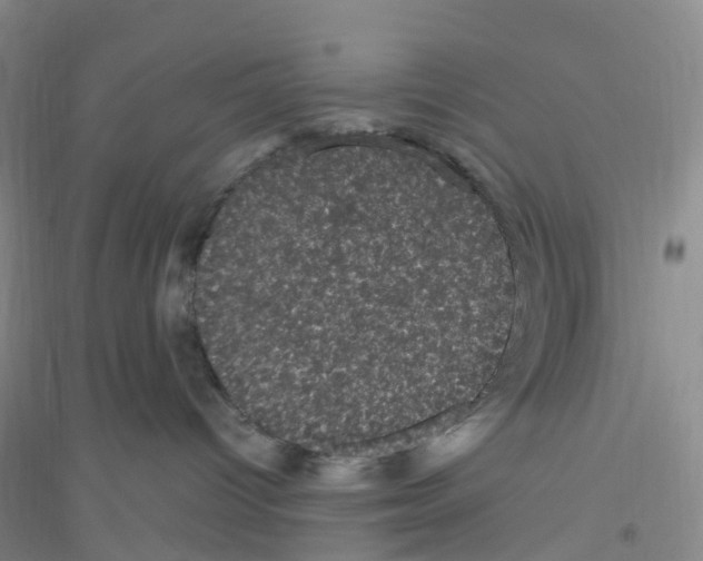 X0000116760096201001281621