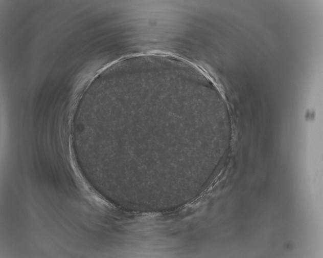 X0000116760097201001281620