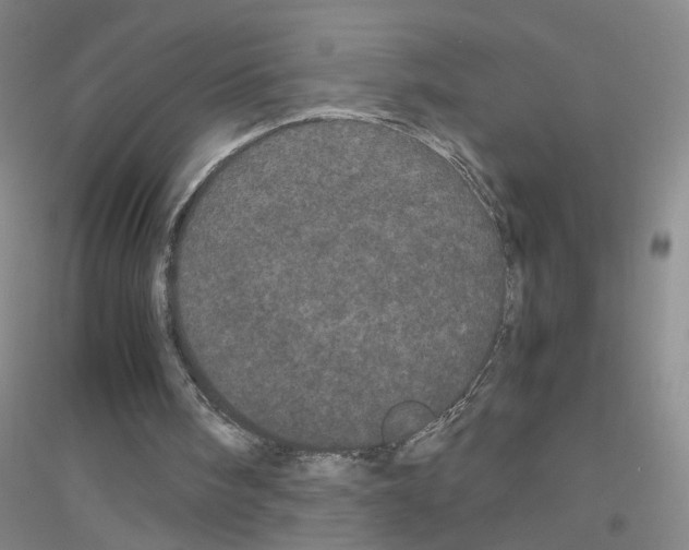 X0000116760098201001281620