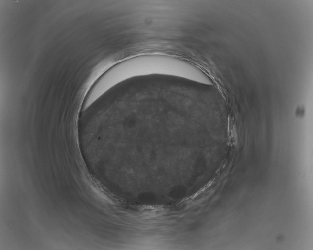 X0000116760099201001281620