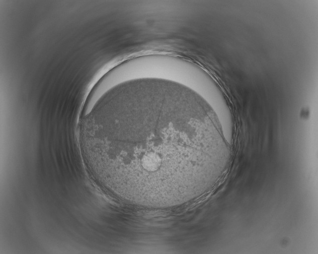 X0000116760100201001281620