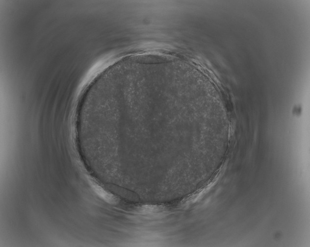 X0000116760101201001281620