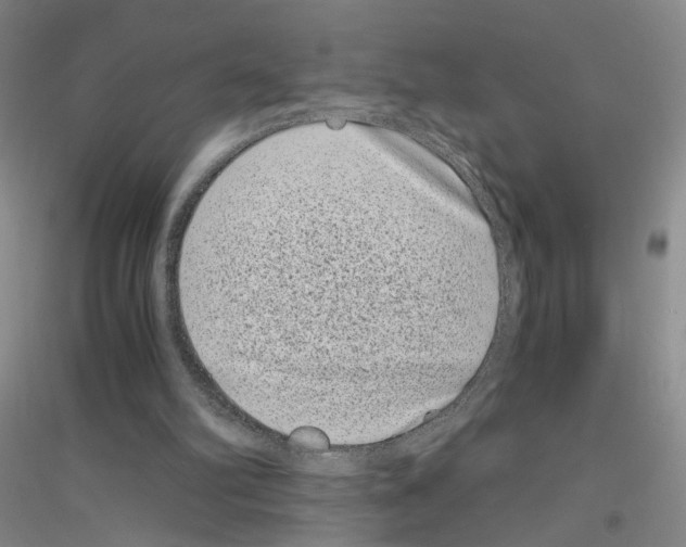 X0000116760102201001281620