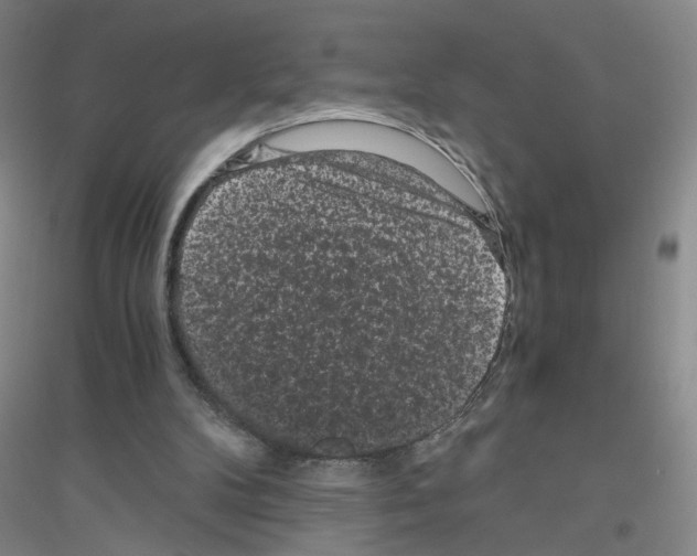 X0000116760104201001281620