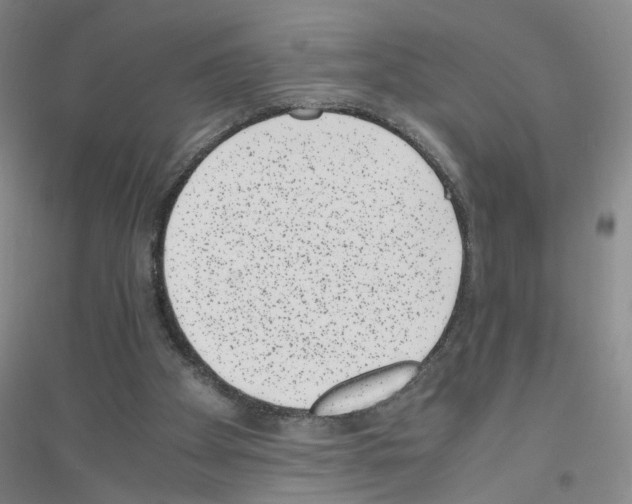 X0000116760105201001281620