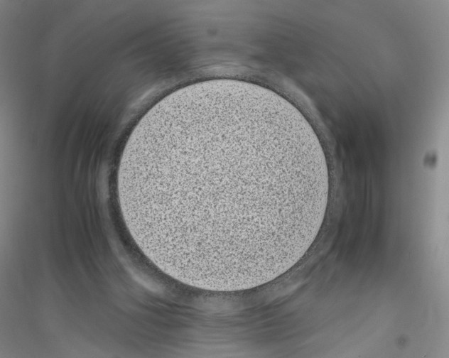 X0000116760106201001281620