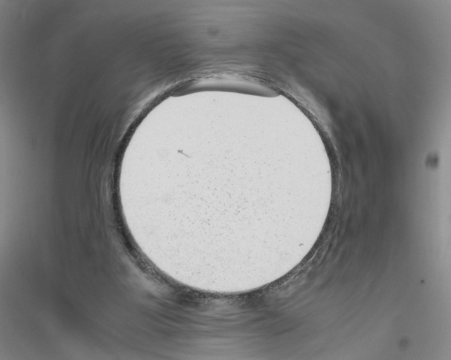 X0000116760107201001281620