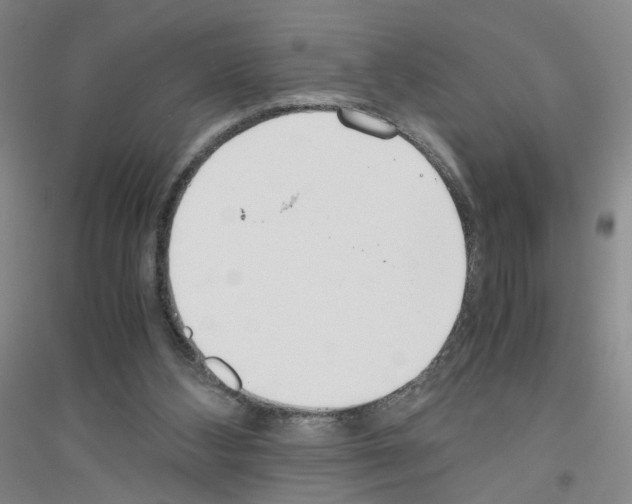 X0000116760108201001281620