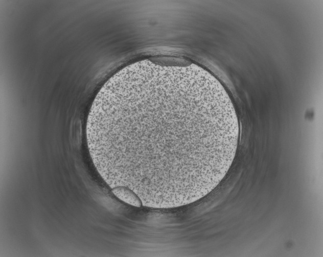 X0000116760109201001281620