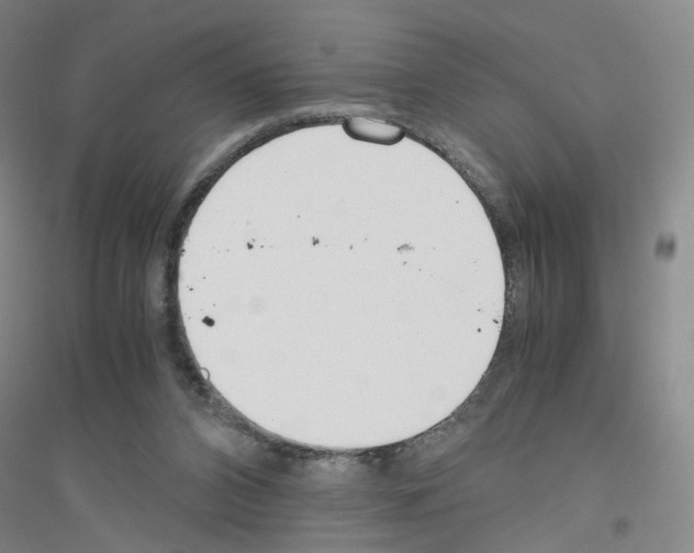 X0000116760112201001281620