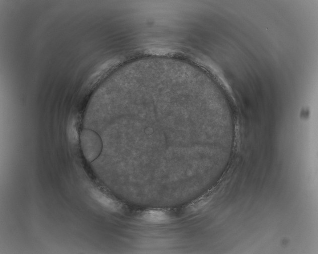 X0000116760114201001281620