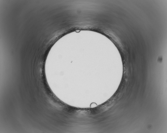 X0000116760115201001281620