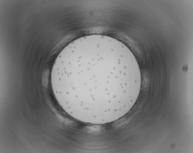 X0000116760118201001281620