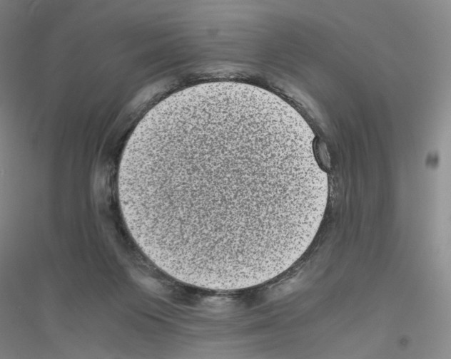 X0000116760119201001281620