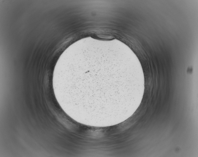 X0000116760120201001281620