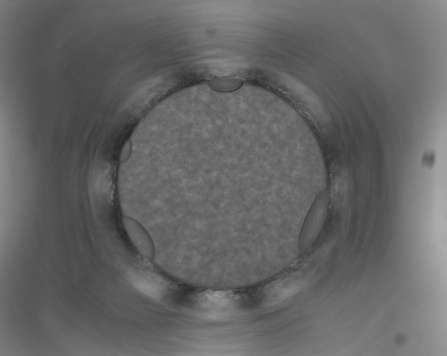 X0000116760121201001281620