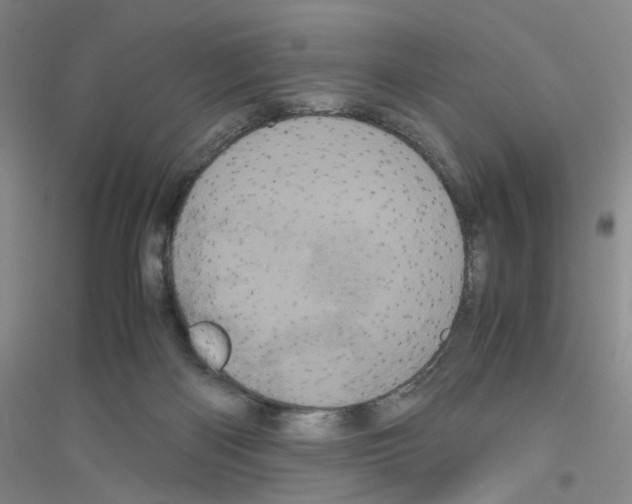 X0000116760122201001281620