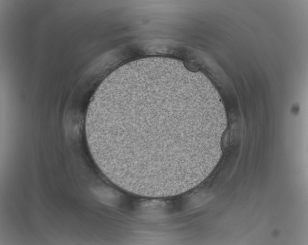 X0000116760125201001281620