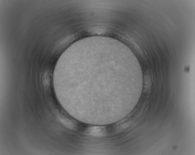 X0000116760126201001281620