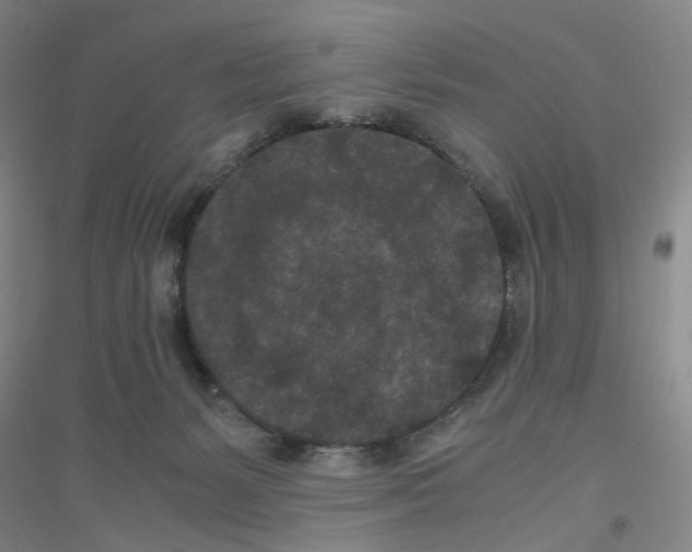 X0000116760127201001281620