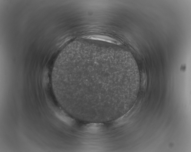 X0000116760128201001281620