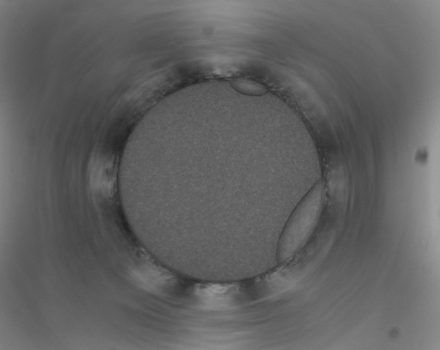 X0000116760129201001281620