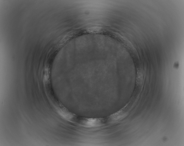 X0000116760130201001281620