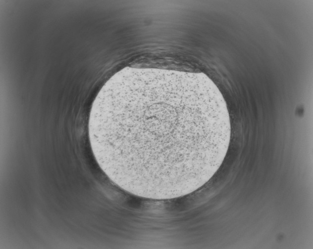 X0000116760131201001281620