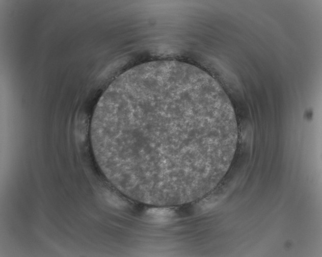 X0000116760133201001281620