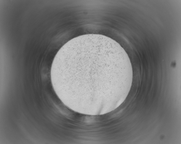 X0000116760134201001281620