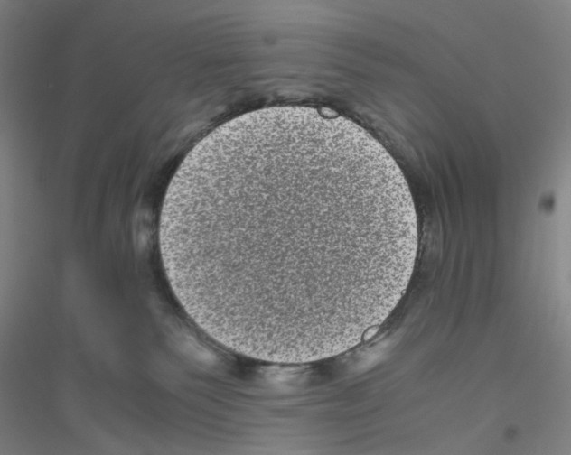 X0000116760135201001281620