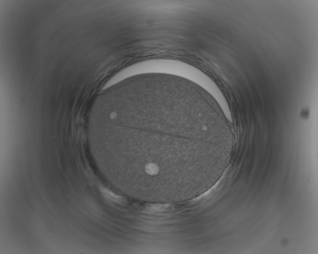 X0000116760136201001281620