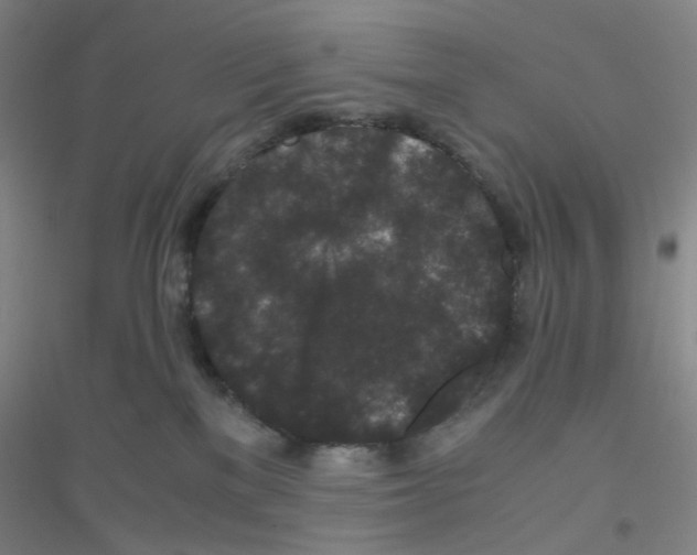 X0000116760137201001281620