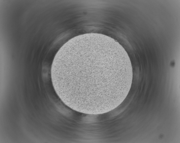 X0000116760138201001281620