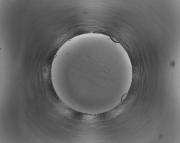 X0000116760139201001281620