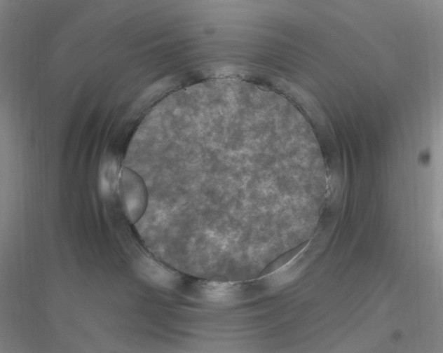 X0000116760142201001281619