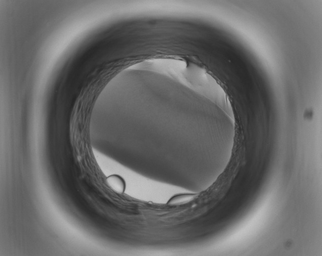 X0000116760143201001281619