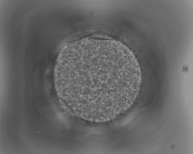 X0000116760144201001281619