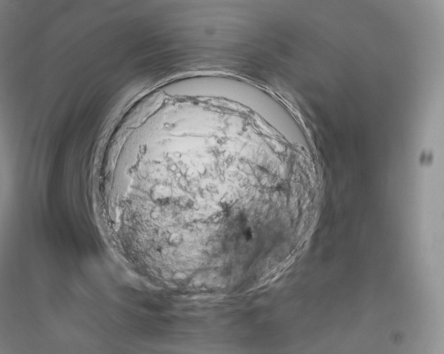 X0000116760145201001281619