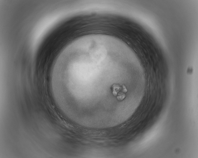 X0000116760146201001281619