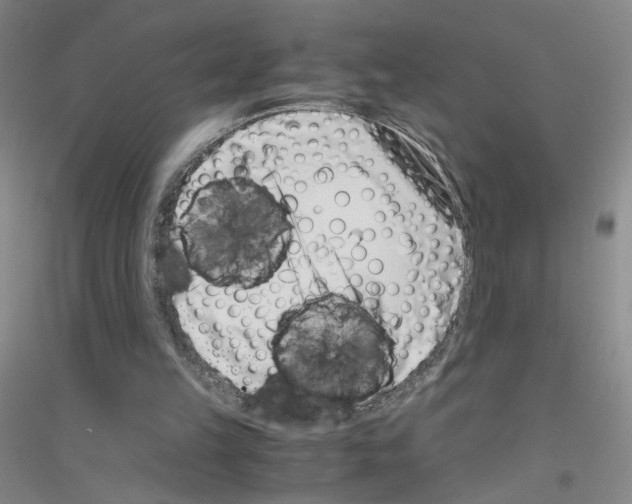 X0000116760149201001281619