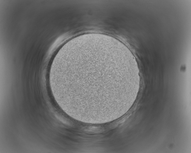 X0000116760151201001281619