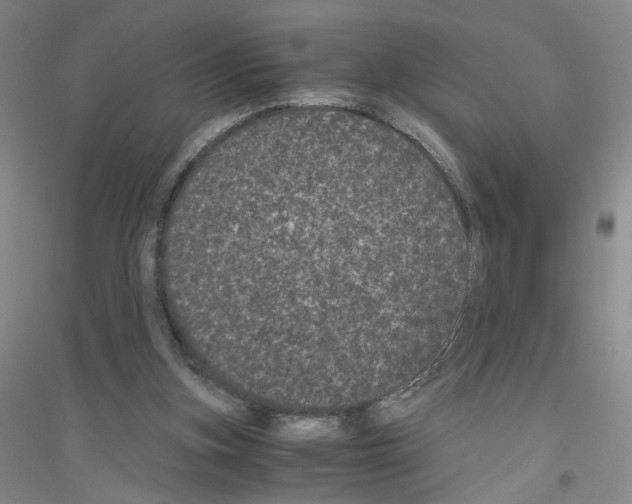 X0000116760155201001281619