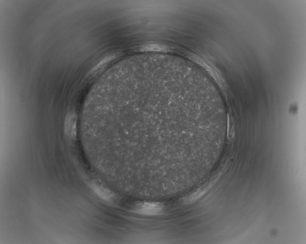 X0000116760157201001281619