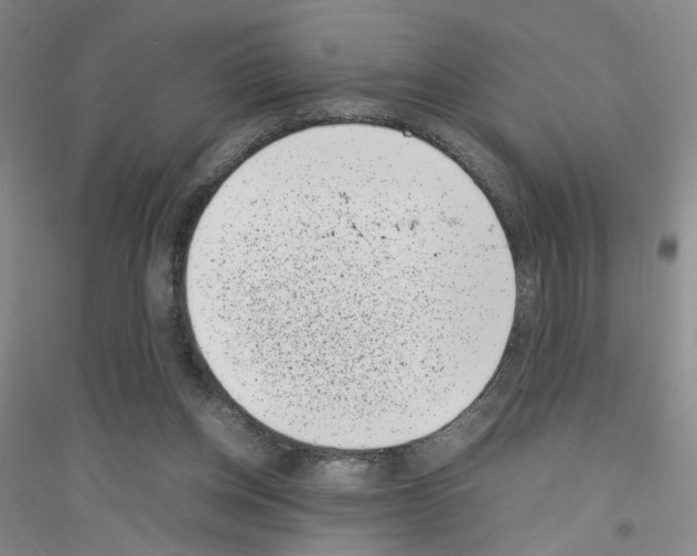 X0000116760158201001281619